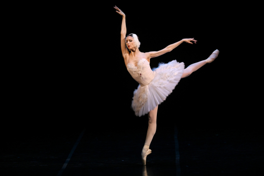 Прима-балерина Большого театра Захарова назначена ректором МГАХ