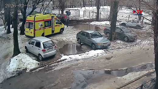 Стало известно состояние женщины, на которую упало дерево в Воронеже