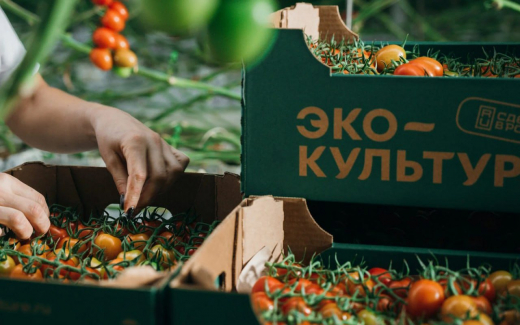 Экс-глава липецких «Овощей Черноземья» взращивает карьеру в «Эко-культуре»