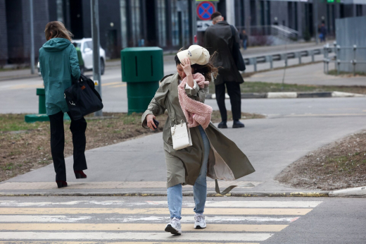Жителей Москвы попросили быть внимательными во время сильного ветра 14 ноября
