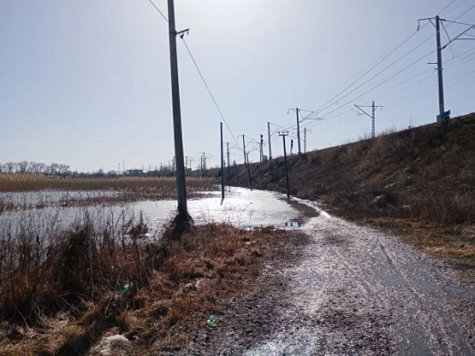 Воронежцы ходят по ж/д путям из-за затопленной короткой дороги