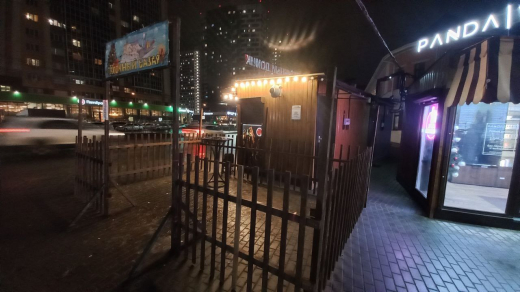 Воронежцы раскупили весь ёлочный базар за три дня