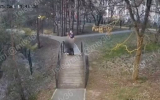 «Раскаялись и признали вину»: оргия в парке обошлась супругам в 2 тысячи рублей