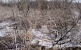 Жалобы о загрязнении реки отходами в Воронежской области проверяют в СК