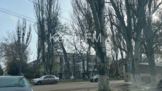 На Орджоникидзе около дороги вот-вот упадет тополь