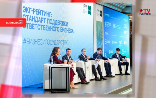 Систему рейтинга деловой репутации компаний презентовали воронежские власти