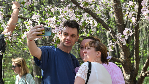 Биолог Филин заявил, что сакура может зацвести в Москве в конце недели