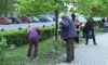 Воронежские школьники отметили Всемирный день Земли уборкой на Кольцовском бульваре