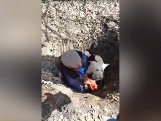 В Воронеже рабочий спас дворнягу, которая провалилась в колодец