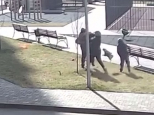 Мужчину, избившего воронежца его же мопсом, признали невменяемым