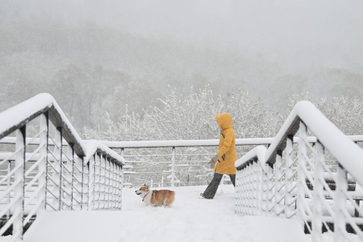 Городское хозяйство Москвы предупредило об ухудшении погоды в столице