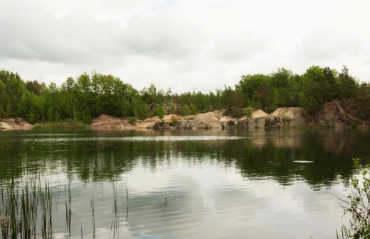 Убитого полицейского нашли на берегу озера в Воронежской области