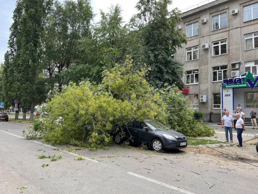 Дерево рухнуло на 3 иномарки в центре Воронежа