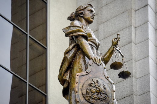 Известный воронежский адвокат назвал ошибку, из-за которой суды становились на сторону Долиной