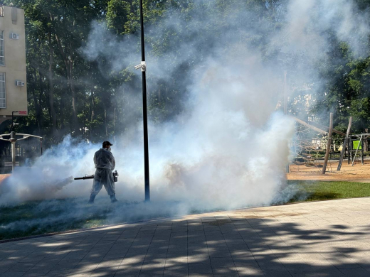 Парки и скверы Воронежа обработают от комаров и клещей