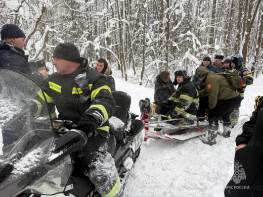 В Орехово-Зуево успешно завершилась операция по поиску потерявшихся в лесу людей