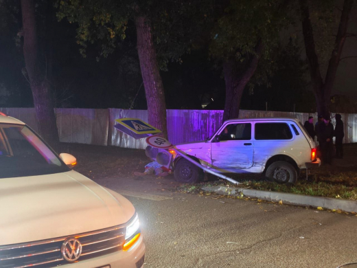 За гибель школьника от упавшего знака воронежский автомобилист отправится в колонию