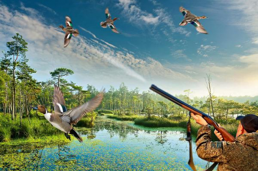 Роскомнадзор провел массовый отстрел лицензий