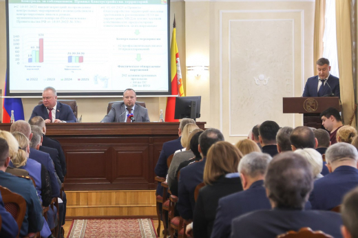 В мэрии Воронежа обсудили снос незаконных построек