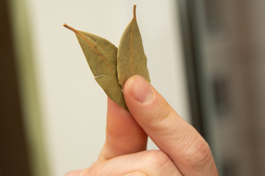 Лавровый лист помог москвичке выиграть в лотерею более 2,8 миллиона рублей