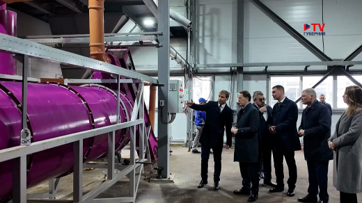 В Воронежской области вдвое увеличат производство яиц