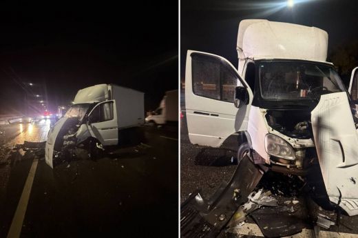 Водитель «ГАЗели» получил 9 лет за пьяное ДТП с погибшей женщиной в Воронеже