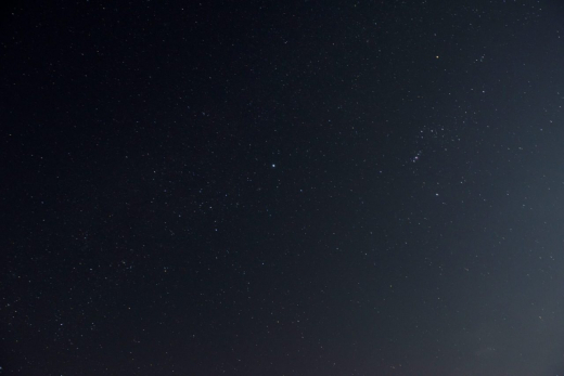 Беспилотник сбили в Воронежской области