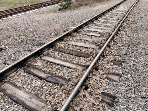 МЖД: Поезд Кубинка-Дубна совершил остановку из-за травмирования человека