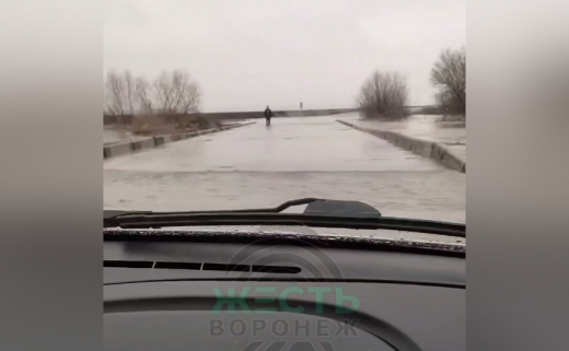 Уже три моста ушли под воду в Воронежской области из-за разлива рек