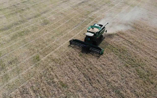 ГК «Агроэко» получила приоритет на получение льгот в Воронежской области благодаря высокому ЭКГ-рейтингу