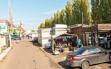 Продавцы воронежского Птичьего рынка, который переедет на новое место: «В Юго-Западном торговать не будем»