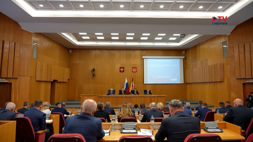 В Воронежской облдуме выбрали руководителей рабочих комитетов