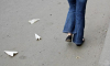 Прошла любовь, завяли помидоры. Роскомнадзор подал в суд на Telegram