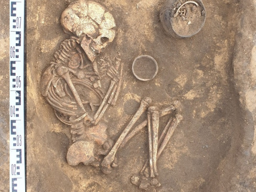 Под воронежским Борисоглебском нашли 28 захоронений бронзовой эпохи