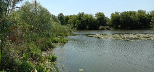 Застройщик заплатит более 5 млн рублей за мусор на берегу озера Круглое под Воронежем