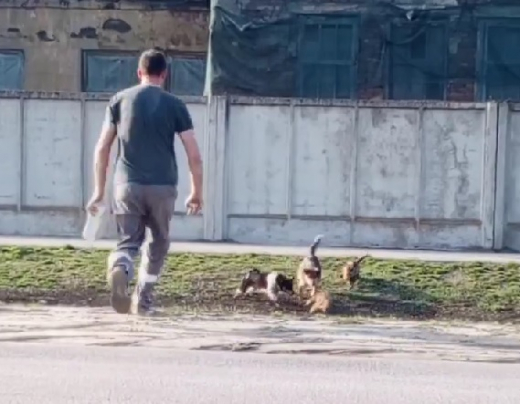 Воронежцы организовали спецоперацию по спасению байбака