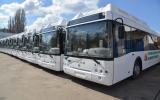 Более 100 автобусов с кондиционерами работают в Воронеже