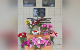 В школе в Воронежской области открыли мемориальную доску в честь выпускника, погибшего в СВО