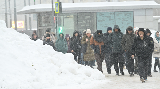 Тишковец заявил, что в Москве сугробы вырастут до полуметра к 28 января