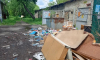 В Воронеже могут сменить оператора по вывозу мусора