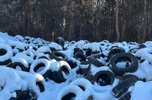 Огромное кладбище шин появилось рядом с лесом в Воронеже