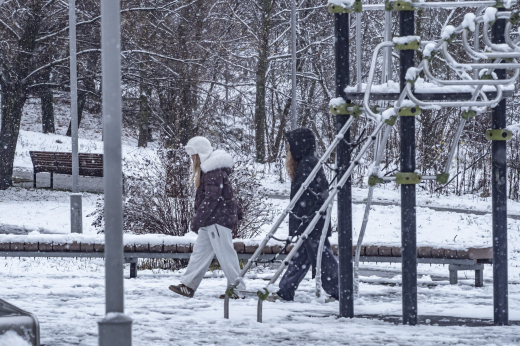 В Москве зафиксированы порывы ветра до 18 м/с и мокрый снег