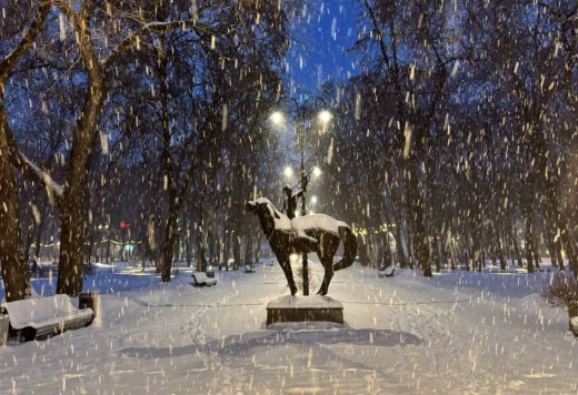 Воронежцы рассказали о последствиях мощного снегопада