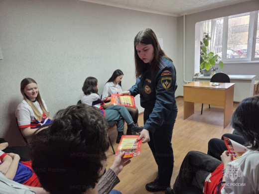 Сотрудники МЧС России провели урок безопасности для волонтеров в Балашихе
