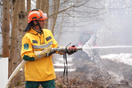 В Сергиево-Посадском лесничестве прошли учения по ликвидации верховых пожаров