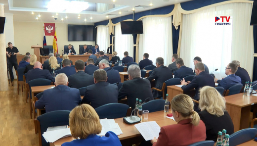 Школа и кладбище: что появится на землях лесфонда в Воронеже