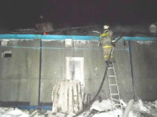 На пожаре в Воронежской области погиб мужчина
