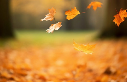 В Воронежской области потеплеет до +21 градуса