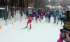 Более 4 тысяч воронежцев приняли участие во всероссийской массовой гонке «Лыжня России»