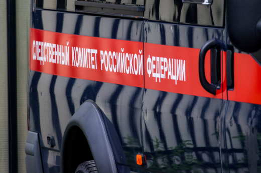 СК: В Подмосковье задержали напавшего с ножом на 7-летнюю девочку